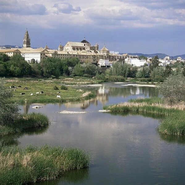 View towards Mezquita and cathedral
