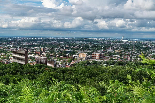 View over Montreal from Mont Royal, Montreal, Quebec, Canada, North America