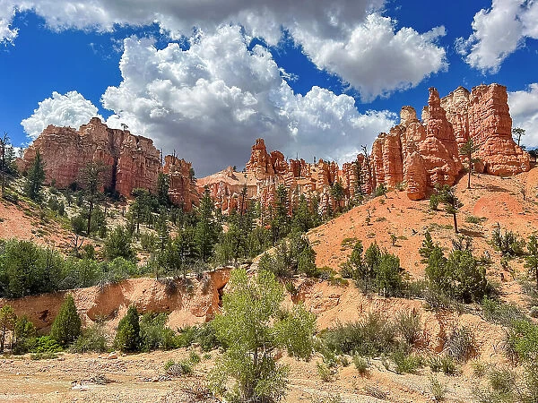 A view from the Mossy Cave Trail of red rock and hoodoos, Bryce Canyon National Park, Utah, United States of America, North America