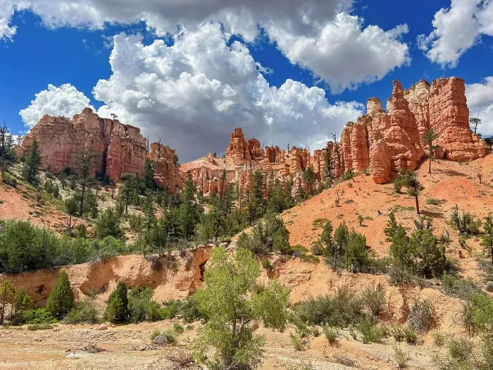 Framed Print : A view from the Mossy Cave Trail of red rock and hoodoos, Bryce Canyon National Park, Utah, United States of America, North America