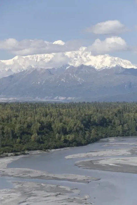 Framed Print : View of Mount McKinley at mile 135 of Parks Highway, Alaska, United States of America Framed Print : View of Mount McKinley at mile 135 of Parks Highway, Alaska, United States of America