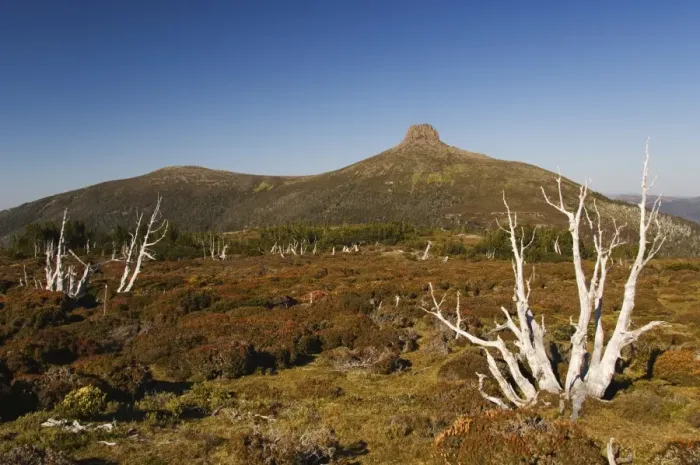 Framed Print : View of Mount Pelion East, 1433m, from Mount Ossa, on the overland track in Cradle Mountain Lake St Framed Print : View of Mount Pelion East, 1433m, from Mount Ossa, on the overland track in Cradle Mountain Lake St