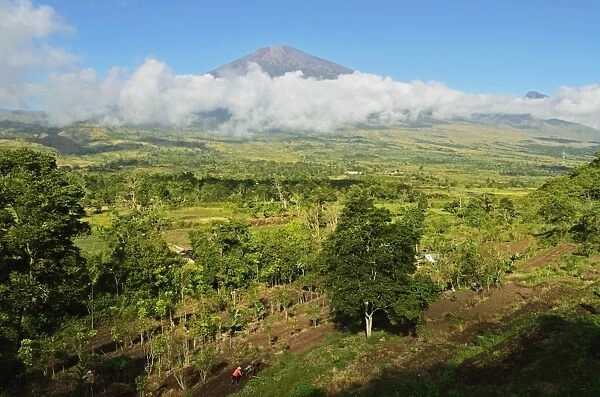 View of Mount Rinjani from Sembalun Lawang, Lombok, Indonesia, Southeast Asia, Asia