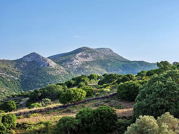 View towards the Mount Zas (Zeus), Naxos Island, Cyclades, Greek Islands, Greece, Europe