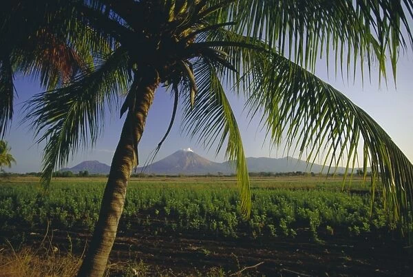 View north across fields at Chichigalpa to Volcan San Cristobal at the northwest end of Nicaraguas chain of volcanoes, Nicaragua