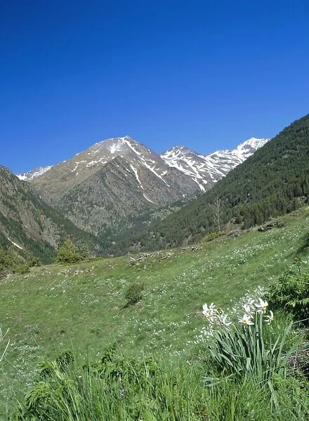 View north west across the Arinsal Valley to Pic de Coma Pedrosa in early summer