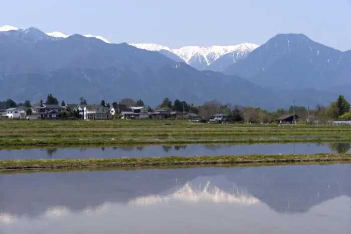 Framed Print : View of the Northern Alps reflected in a flooded rice paddy, Nagano Prefecture, Japan Framed Print : View of the Northern Alps reflected in a flooded rice paddy, Nagano Prefecture, Japan