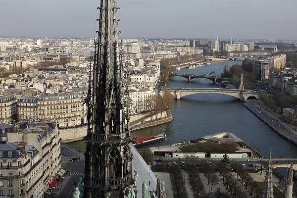 View from Notre Dame Cathedral roof, Paris, France, Europe