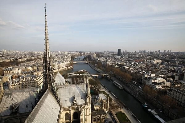 View from Notre Dame Cathedral roof, Paris, France, Europe
