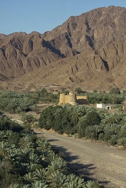 View over the oasis fort of Bithnal