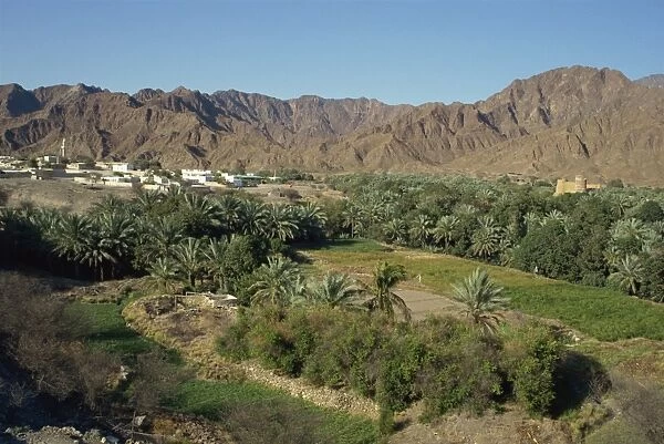 View over the oasis town of Bithnal