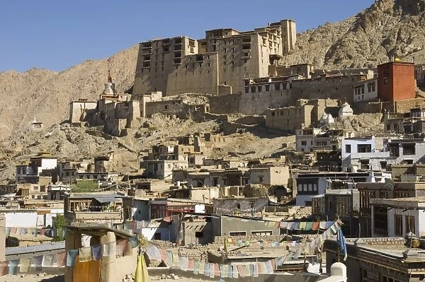 View of the old city with Leh palace in background