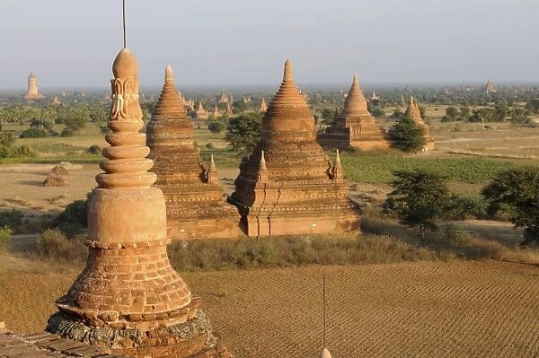 View over the old temples and pagodas of the ruined city of Bagan, Bagan, Myanmar, Asia