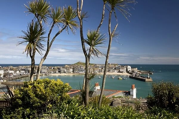 View of old town and harbour with Smeatons Pier viewed from The Malakoff, St. Ives