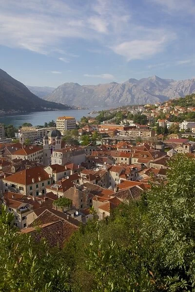 View over Old Town, Kotor, UNESCO World Heritage Site, Montenegro, Europe