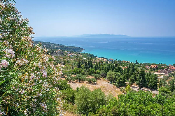 View of olive groves and coastline near Lourdata, Kefalonia, Ionian Islands, Greek Islands, Greece, Europe