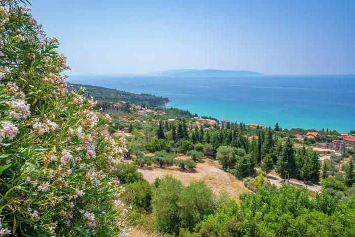 Framed Print : View of olive groves and coastline near Lourdata, Kefalonia, Ionian Islands, Greek Islands, Greece, Europe Framed Print : View of olive groves and coastline near Lourdata, Kefalonia, Ionian Islands, Greek Islands, Greece, Europe