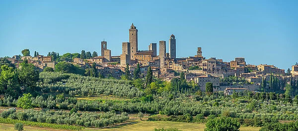 View of olive trees and landscape around San Gimignano, San Gimignano, Province of Siena, Tuscany, Italy, Europe