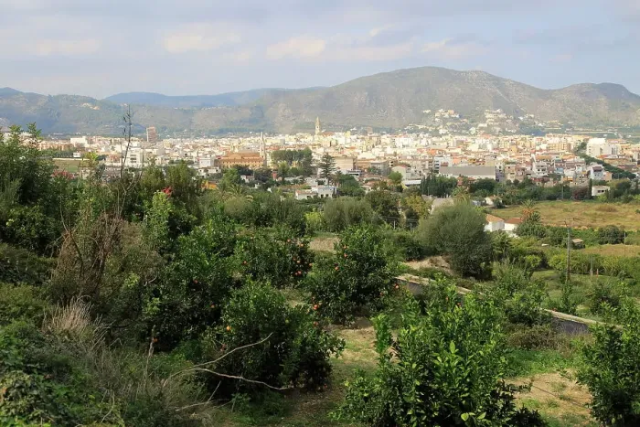 Framed Print : View over orange trees to town of Pego, Marina Alta, Alicante province, Spain, Europe Framed Print : View over orange trees to town of Pego, Marina Alta, Alicante province, Spain, Europe