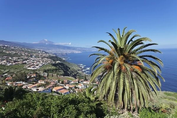 View over Orotava Valley to the north coast and Puerto de la Cruz und den Teide, Tenerife
