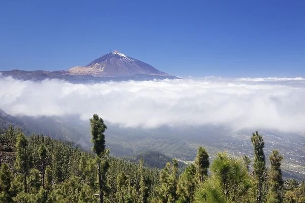 View over Orotava Valley to Pico del Teide, National Park Teide, UNESCO World Heritage Site