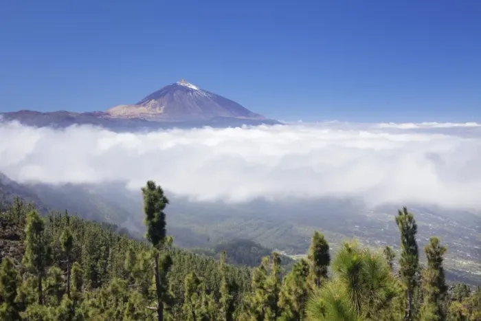 Framed Print : View over Orotava Valley to Pico del Teide, National Park Teide, UNESCO World Heritage Site Framed Print : View over Orotava Valley to Pico del Teide, National Park Teide, UNESCO World Heritage Site