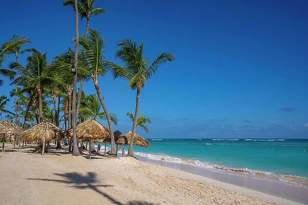 View of palm trees on Bavaro Beach, Punta Cana, Dominican Republic, West Indies, Caribbean, Central America