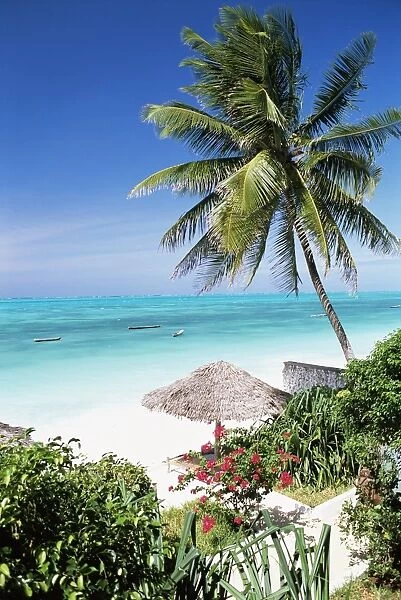 View through palm trees towards beach and Indian Ocean, Jambiani, island of Zanzibar