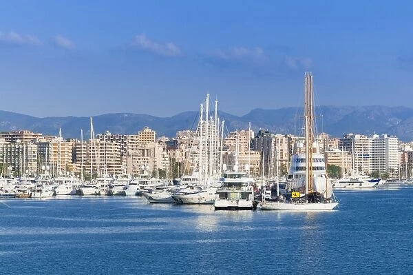View of Palma de Mallorca harbor, Palma de Mallorca, Majorca, Balearic Islands, Spain, Mediterranean, Europe