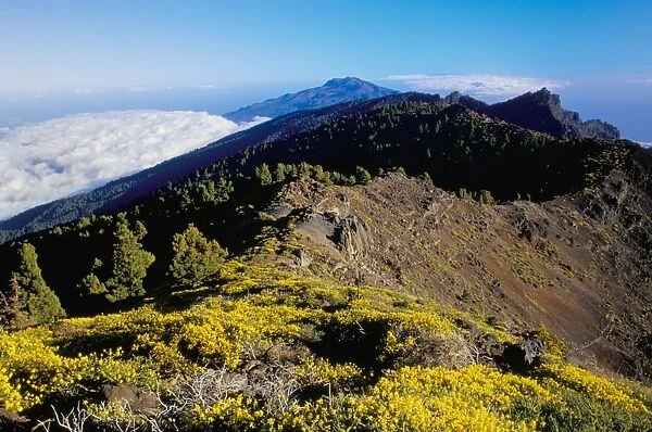 View of Parque Nacional de la Caldera de Taburiente from Pico de las Nieves