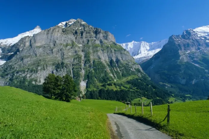 Framed Print : View along path through fields to the Schreckhorn and Fiescherhorner Framed Print : View along path through fields to the Schreckhorn and Fiescherhorner