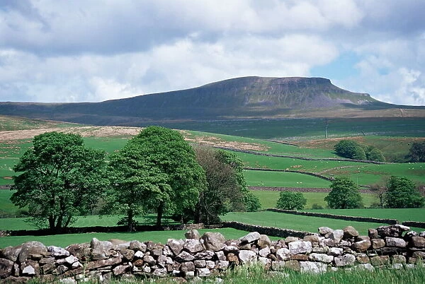 View of Pen-y-ghent, Ribblesdale, Yorkshire, England, United Kingdom, Europe