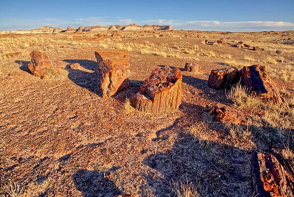 View of the Petrified Forest National Park from the Long Logs Trail on the south end of