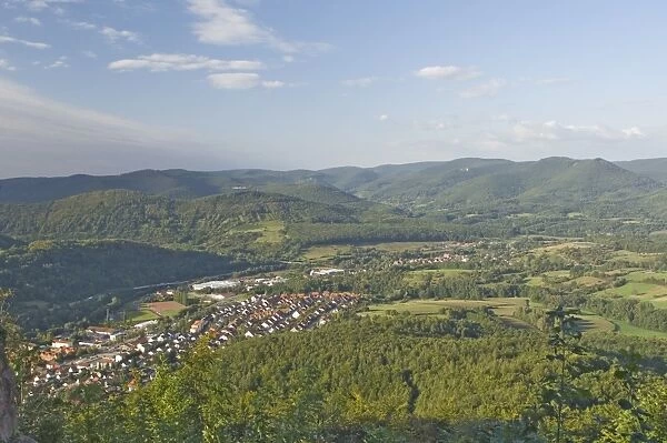 View over the Pfalz wine area