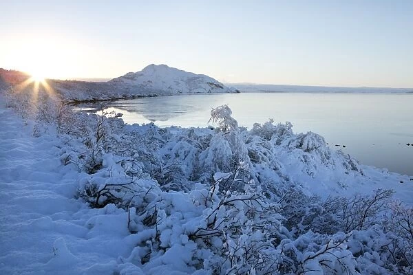 View towards Pingvallavatn Lake on a clear winters afternoon with the shore and distant mountains covered in snow, Pingvellir National Park, UNESCO World Heritage Site, Southwest Iceland, Iceland, Polar Regions