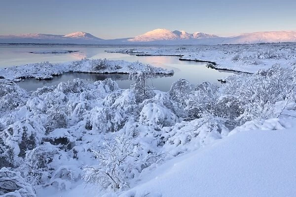 View towards Pingvallavatn Lake on a clear winters afternoon with the shore and distant mountains covered in snow, Pingvellir National Park, UNESCO World Heritage Site, Southwest Iceland, Iceland, Polar Regions