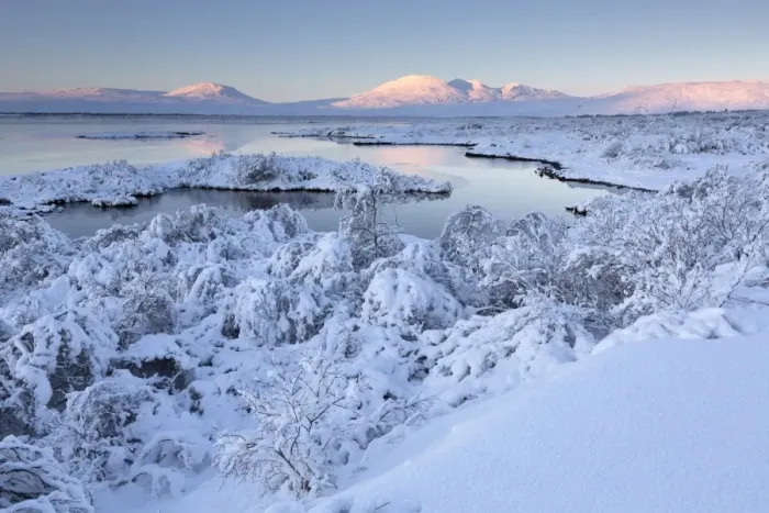 Framed Print : View towards Pingvallavatn Lake on a clear winters afternoon with the shore and distant mountains covered in snow, Pingvellir National Park, UNESCO World Heritage Site, Southwest Iceland, Iceland, Polar Regions Framed Print : View towards Pingvallavatn Lake on a clear winters afternoon with the shore and distant mountains covered in snow, Pingvellir National Park, UNESCO World Heritage Site, Southwest Iceland, Iceland, Polar Regions
