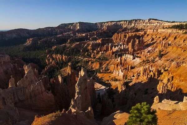 View over the pinnacles in the beautiful rock formations of Bryce Canyon National Park, Utah, United States of America, North America