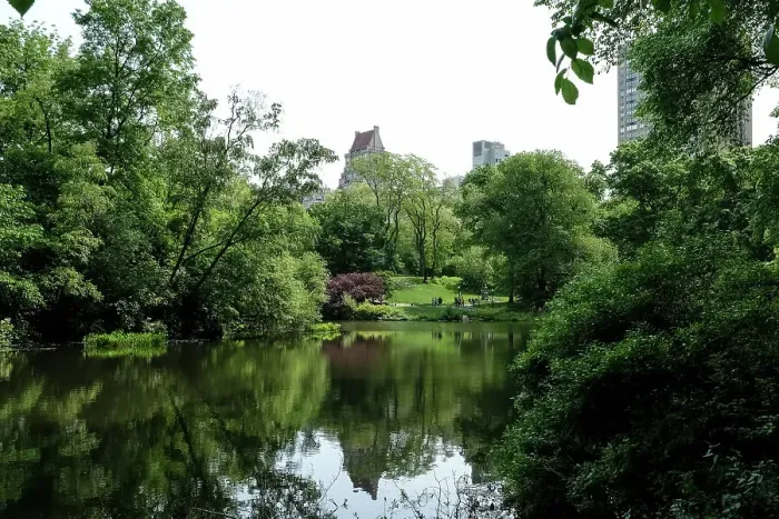 Framed Print : View of The Pond, one of seven bodies of water in Central Park located near Grand Army Plaza, across Central Park South from the Plaza Hotel, New York City, United States of America, North America Framed Print : View of The Pond, one of seven bodies of water in Central Park located near Grand Army Plaza, across Central Park South from the Plaza Hotel, New York City, United States of America, North America