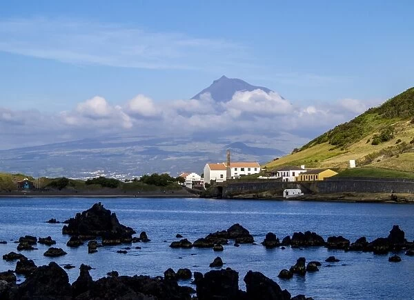 View towards Porto Pim Whaling Station and Pico Mounain, Faial Island, Azores, Portugal