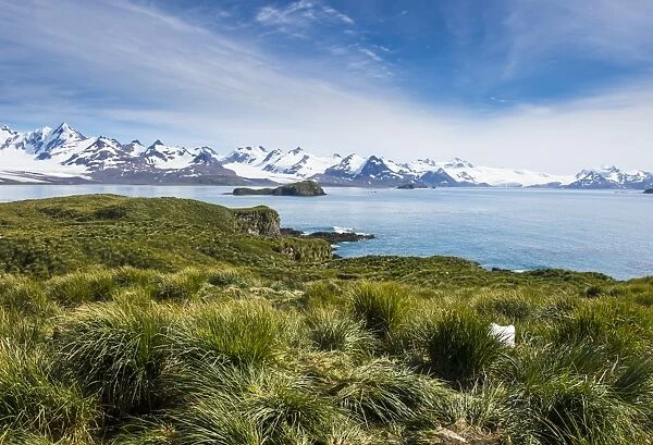 View over Prion Island, South Georgia, Antarctica, Polar Regions
