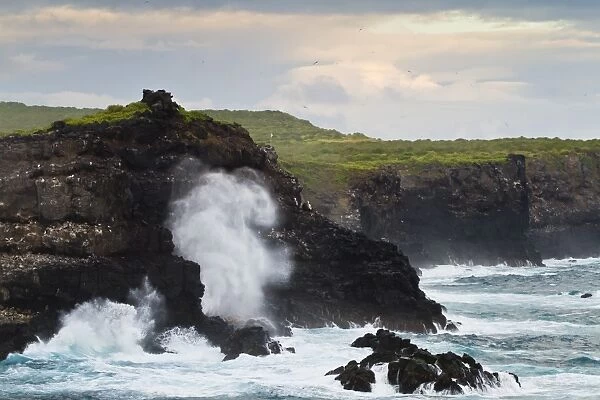View of Punta Suarez, Espanola Island, Galapagos Islands, UNESCO World Heritage Site, Ecuador, South America