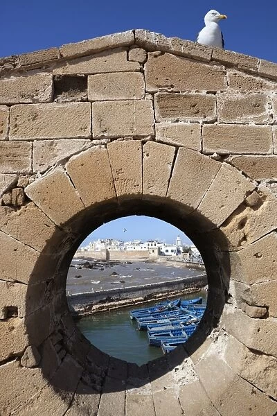 View to the ramparts and medina from the old fort, Essaouira, Atlantic coast, Morocco, North Africa, Africa