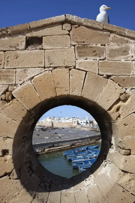 Framed Print : View to the ramparts and medina from the old fort, Essaouira, Atlantic coast, Morocco, North Africa, Africa Framed Print : View to the ramparts and medina from the old fort, Essaouira, Atlantic coast, Morocco, North Africa, Africa