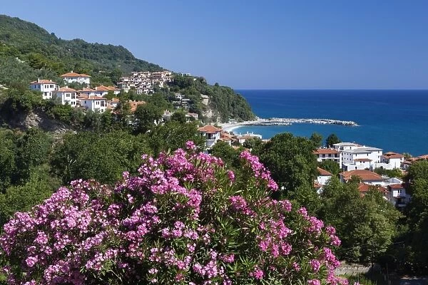 View over resort, Agios Ioannis, Pelion Peninsula, Thessaly, Greece, Europe