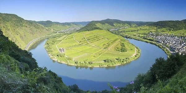 View of River Moselle, Bremm, Rhineland-Palatinate, Germany, Europe