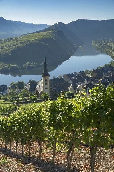 View of River Moselle and St. Lawrences Church, Bremm, Rhineland-Palatinate, Germany