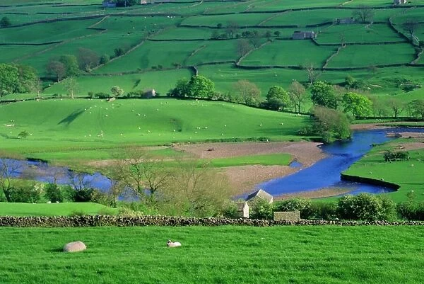 View to river at Reeth, Swaledale, Yorkshire Dales National Park, Yorkshire