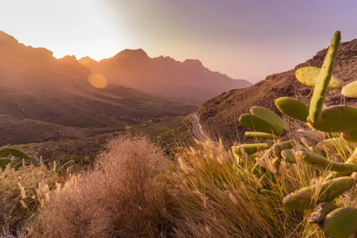 Framed Print : View of road and flora in mountainous landscape during golden hour near Tasarte, Gran Canaria, Canary Islands, Spain, Atlantic, Europe Framed Print : View of road and flora in mountainous landscape during golden hour near Tasarte, Gran Canaria, Canary Islands, Spain, Atlantic, Europe