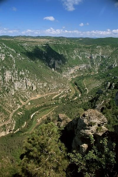 View from Roc des Hourtous of the Gorges du Tarn, Lozere, Languedoc-Roussillon